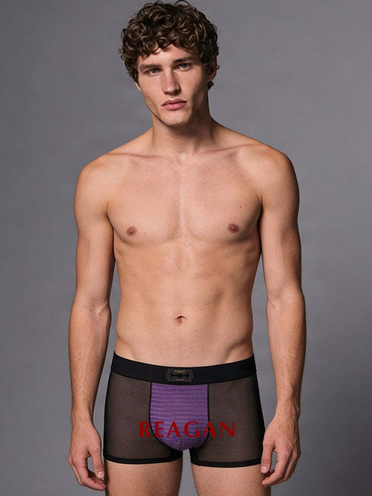 UB921 Men's Classic Boxer Briefs, Sexy Deconstructed Patchwork Design, Skin-Friendly Nude Sheer Mesh Underwear